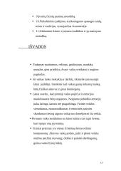 Vaiko sveikata 13 puslapis