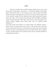 Vaikų globos sistema Lietuvoje 2 puslapis