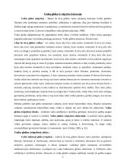 Vaikų globos sistema Lietuvoje 5 puslapis