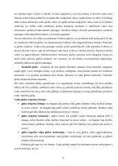 Vaikų globos sistema Lietuvoje 6 puslapis