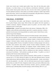 Vaikų globos sistema Lietuvoje 9 puslapis