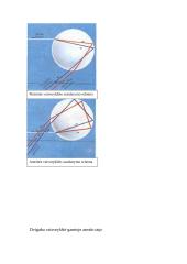 Vaivorykštė 4 puslapis