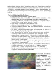 Vaivorykštė 10 puslapis