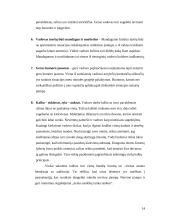 Valdymas ir lyderiavimas valdymo struktūrose 13 puslapis
