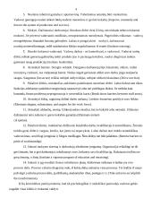 Valdymas. Organizacija. Vadovas 4 puslapis