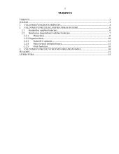 Valdymo funkcijos (klasifikavimas ir vykdymo organizavimas) 2 puslapis