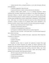 Valdymo funkcijos (klasifikavimas ir vykdymo organizavimas) 13 puslapis