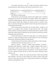 Valdymo funkcijos (klasifikavimas ir vykdymo organizavimas) 14 puslapis