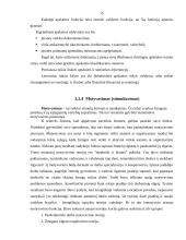 Valdymo funkcijos (klasifikavimas ir vykdymo organizavimas) 15 puslapis