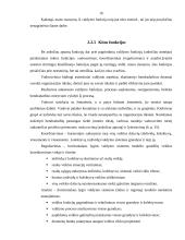 Valdymo funkcijos (klasifikavimas ir vykdymo organizavimas) 16 puslapis