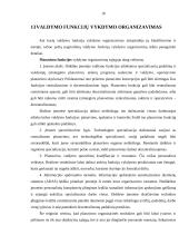 Valdymo funkcijos (klasifikavimas ir vykdymo organizavimas) 18 puslapis