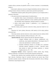 Valdymo funkcijos (klasifikavimas ir vykdymo organizavimas) 19 puslapis