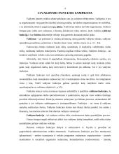 Valdymo funkcijos (klasifikavimas ir vykdymo organizavimas) 4 puslapis