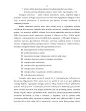 Valdymo funkcijos (klasifikavimas ir vykdymo organizavimas) 9 puslapis