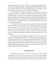 Valdymo funkcijos (klasifikavimas ir vykdymo organizavimas) 10 puslapis