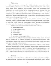 Valdymo funkcijos ir uždaviniai 12 puslapis