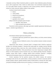 Valdymo funkcijos ir uždaviniai 4 puslapis