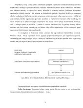 Valdymo funkcijos ir uždaviniai 5 puslapis