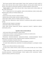 Valdymo metodų skirtingos sampratos 2 puslapis