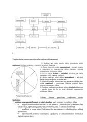 Valdymo objektas ir subjektas 3 puslapis