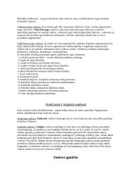 Valdymo objektas ir subjektas 7 puslapis