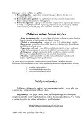 Valdymo objektas ir subjektas 8 puslapis