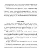 Valdymo procesai 13 puslapis
