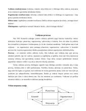 Valdymo procesai 4 puslapis