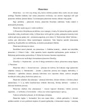 Valdymo procesai 7 puslapis