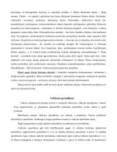 Valdymo procesai 8 puslapis