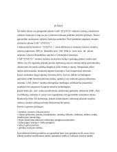 Valdymo sistema: UAB "Statva"