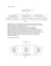 Valdymo sistema: UAB "Statva" 6 puslapis