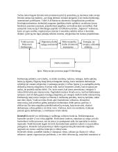 Valdymo sistema: UAB "Statva" 9 puslapis