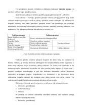 Valdymo struktūrų sudarymo taisyklės 2 puslapis