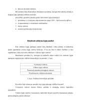 Valdymo struktūrų sudarymo taisyklės 3 puslapis