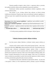 Valdymo struktūrų sudarymo taisyklės 4 puslapis