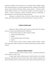 Valdymo struktūrų sudarymo taisyklės 5 puslapis