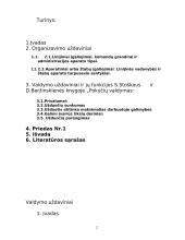 Valdymo uždaviniai 2 puslapis