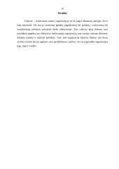 Valdžia ir asmenybės vaidmuo organizacijoje 15 puslapis