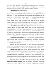 Valdžia ir asmenybės vaidmuo organizacijoje 8 puslapis