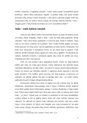 Valios įtaka vado lyderio savybių ugdyme 5 puslapis