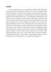 Valios įtaka vado lyderio savybių ugdyme 9 puslapis