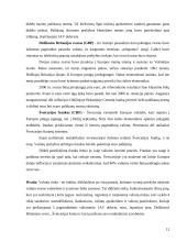 Valiutinės rinkos dalyviai 12 puslapis