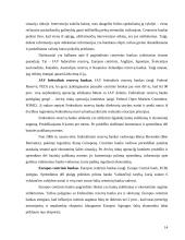 Valiutinės rinkos dalyviai 14 puslapis