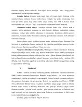 Valiutinės rinkos dalyviai 16 puslapis