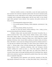 Valiutinės rinkos dalyviai 3 puslapis