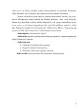 Valiutinės rinkos dalyviai 4 puslapis
