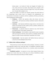 Valiutinės rinkos dalyviai 6 puslapis