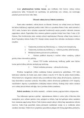 Valiutos kurso režimai 4 puslapis