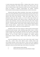 Valiutos kurso režimai 6 puslapis